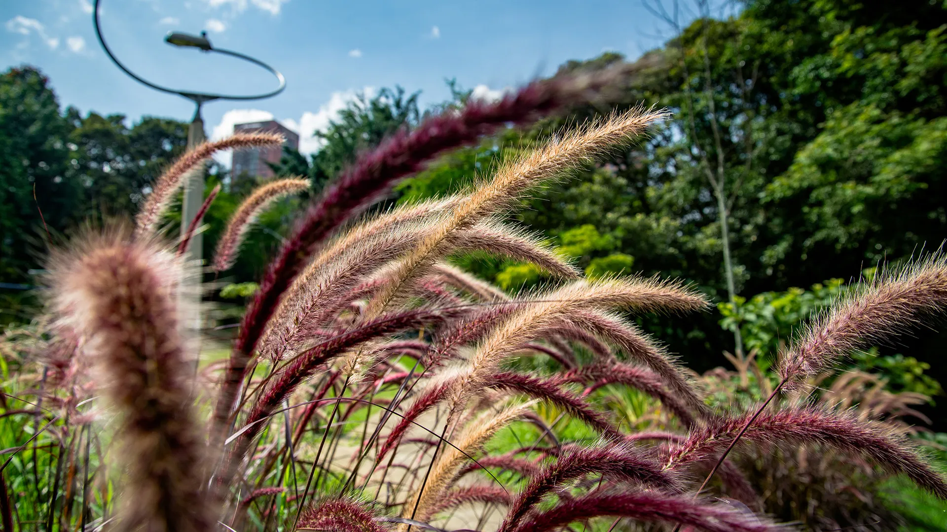 BiodiverCiudades 4